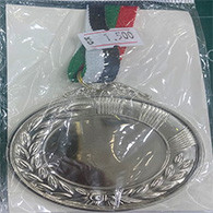 ميدالية فضية